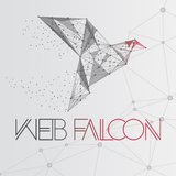 Praca, praktyki i staże w Web Falcon