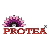 Logo firmy Protea sp. z o.o.