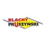 Logo firmy Pruszyński Sp. z o.o.